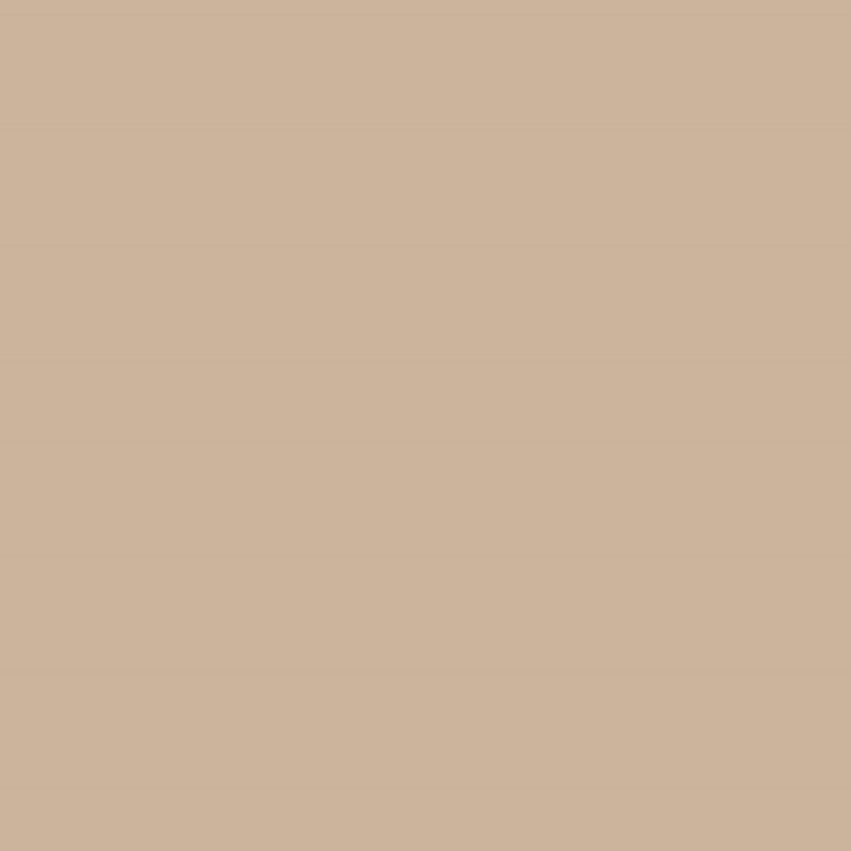 color sample of beige color
