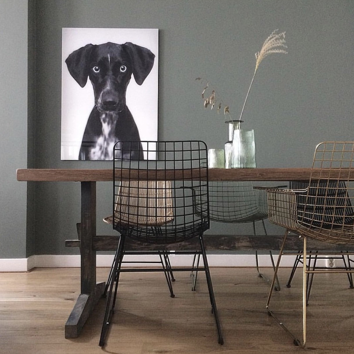 Art work of dog on wall in dining room with metal wire chair by hk living