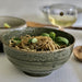 ceramic noodle bowl with whole grain noodles