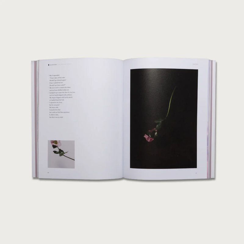 Open book with a photograph of a flower on a dark background
