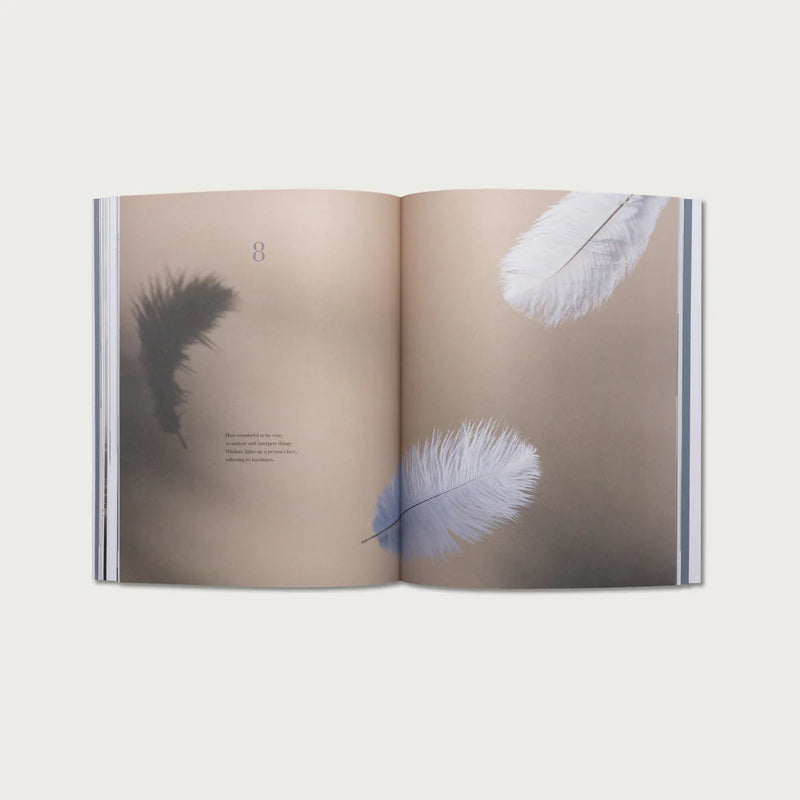 Open book with feathers on a beige background