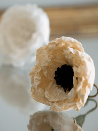 Close-up of a beige flower with a blurred background