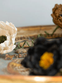 Close-up of dried flowers and leaves on a textured surface with a blurred background
