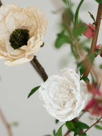 Close-up of white flowers with green leaves on a blurred background