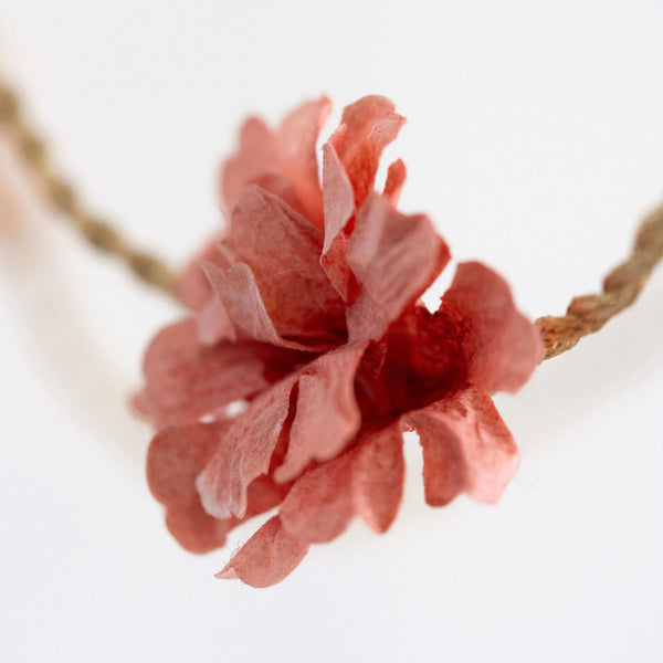 Close-up of a pink flower with a blurred white background
