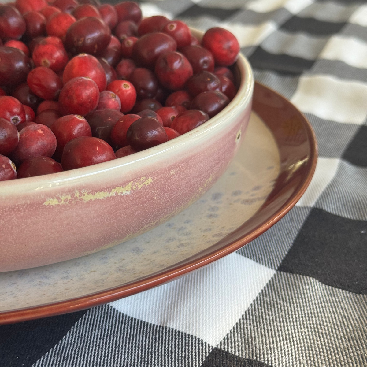 Bowl of red berries on a checkered tablecloth