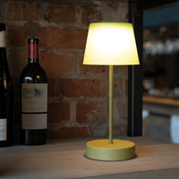 two shade green portable table lamp