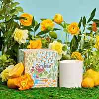 white concrete vessel with lid scented outdoor citronella neroli candle with gift box