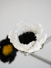 White flower with black center on a white background