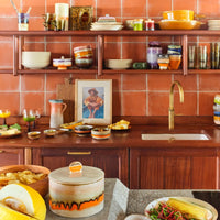 retro style footed bowl with lid in open shelving in kitchen with orange tiles