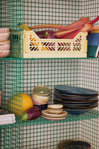 super small flat rustic pink colored dish in a green open shelving