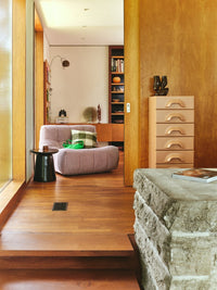 living room with lounge chair and drawer and wooden skyline sculpture