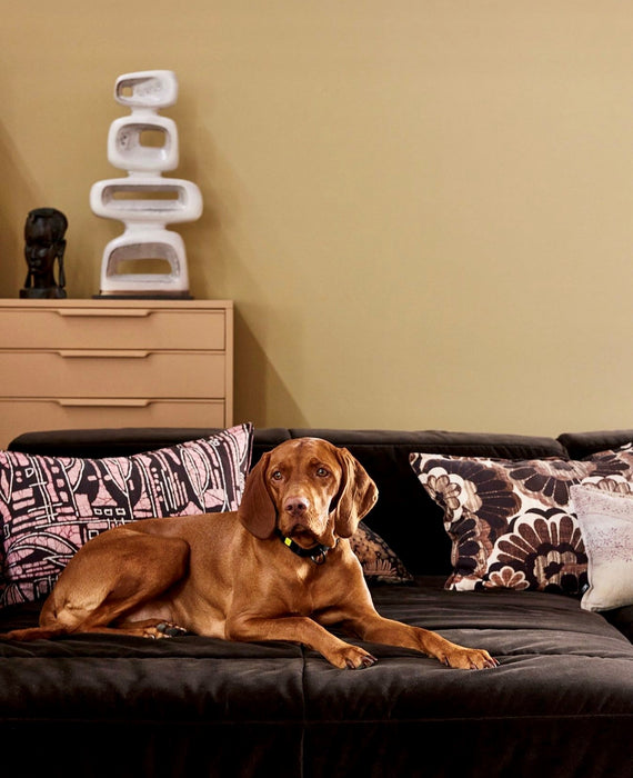 golden retriever on a sofa with pillows an a large stoneware sculpture in background