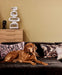 golden retriever on a sofa with pillows an a large stoneware sculpture in background