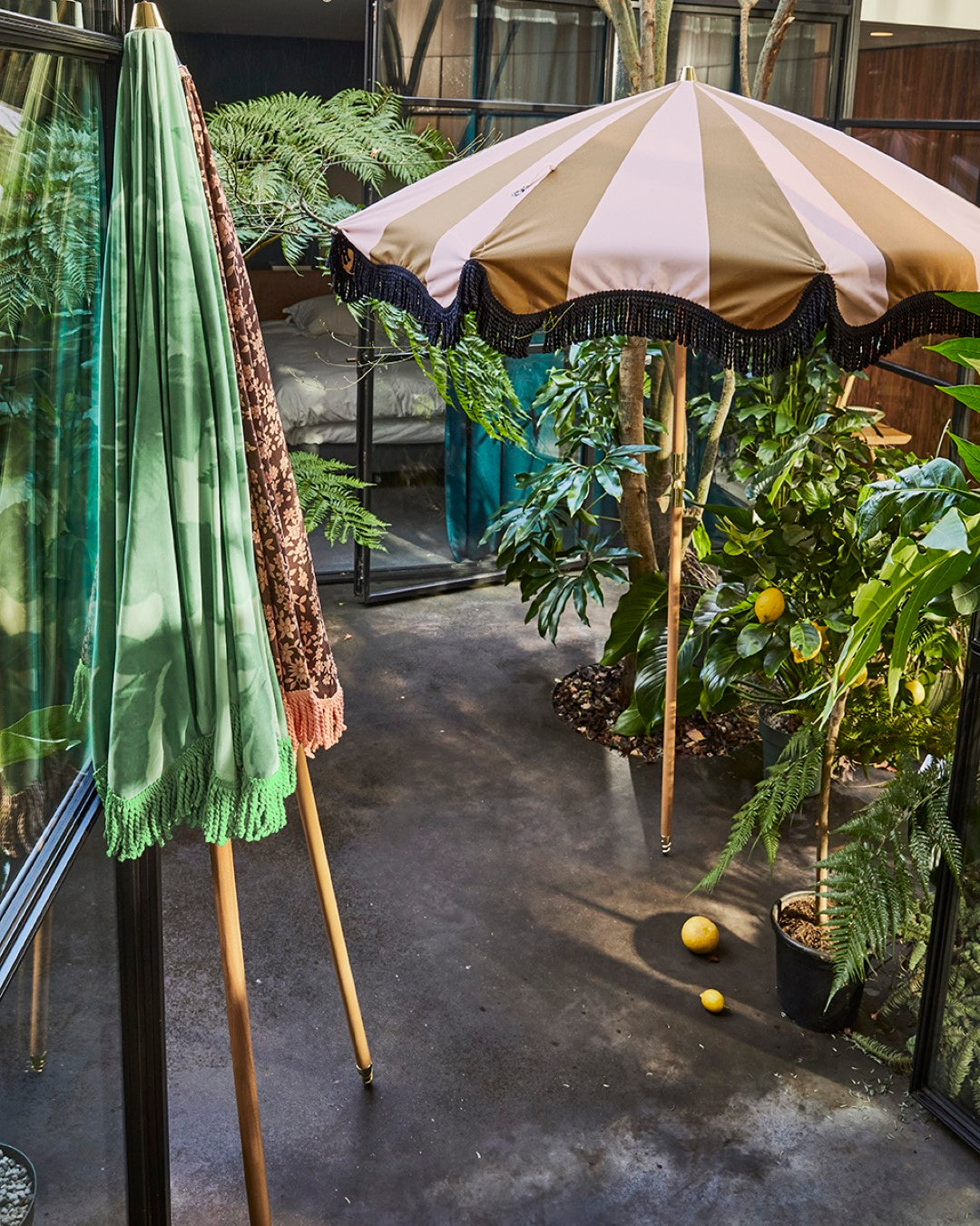 mustard and nude striped parasol with wooden pole in patio with lemon trees