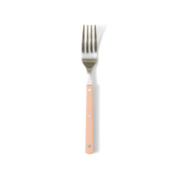 fork stainless steel peach