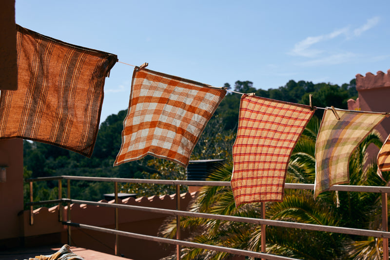 Textile items hanging on a line with a scenic background