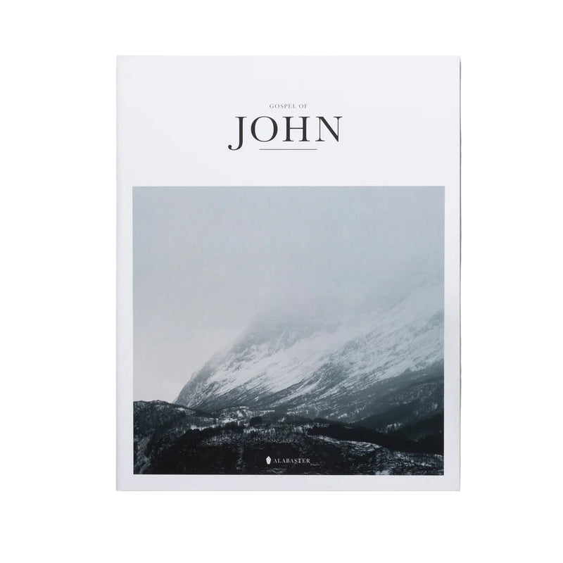 Book cover of 'Gospel of John' with a mountain landscape and 'Alpha' branding.