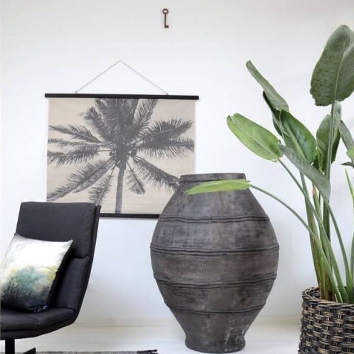Living room with plant andpalm chart school cha