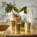 kitchen island with green mugs and transparent, glass planter with plant