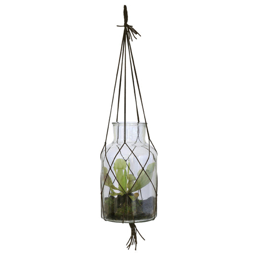 large hanging glass vase with plant