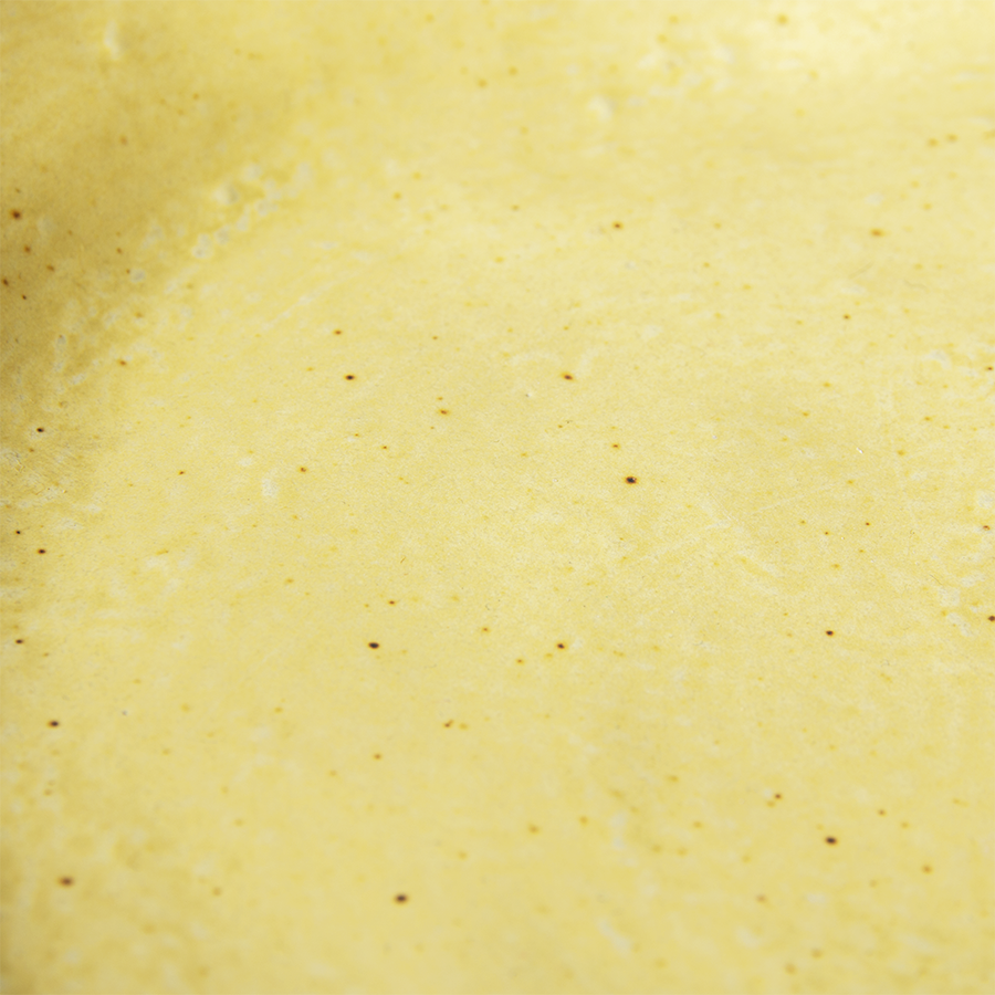 detail of a deep porcelain plate yellow and brown color
