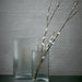 set of two ribbed glass vases with single branch 