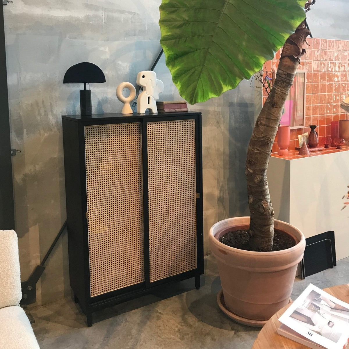 black sliding door cabinet with cane webbing doors in an industrial style loft with a large plant and orange tiled kitchen block