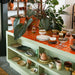collection of ceramics on open shelving in kitchen