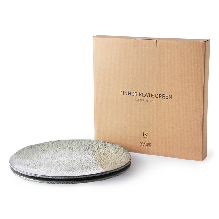 green speckled dinner plates with carton gift box