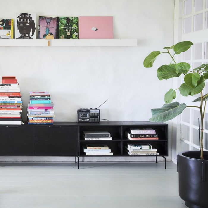 modern living room with black cabinet and black footed planter with fig tree