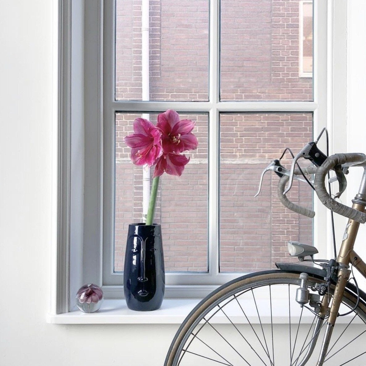 azul face vase in window with a single flower