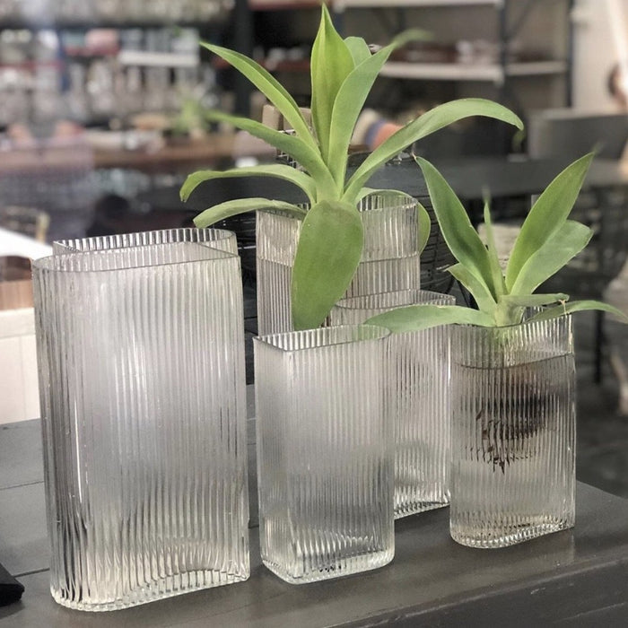 two sets of glass ribbed vases with green plants in it