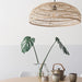 table with ceramics and natural wicker flat pendant light