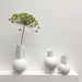 3 white vases with a flat finish and a flower